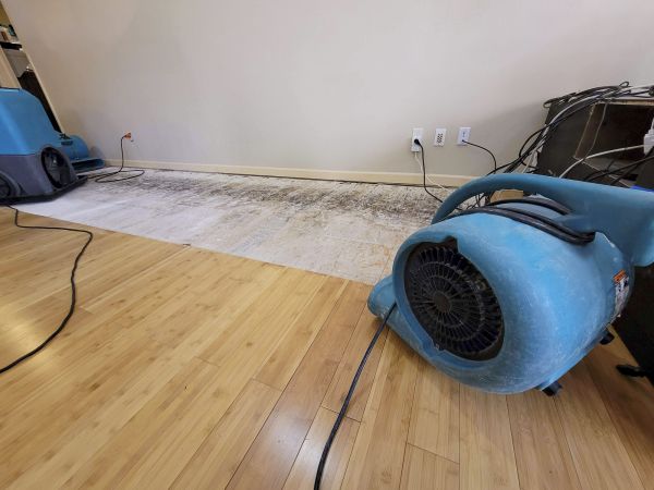 Cost of Water Damage Mitigation in Easton