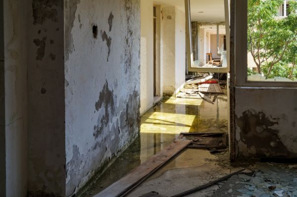 Cost of Water Removal Service in Easton