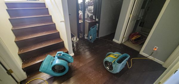 Cost of Water Damage Remediation in Easton