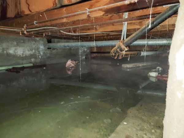 Cost of Water Mitigation Service in Easton